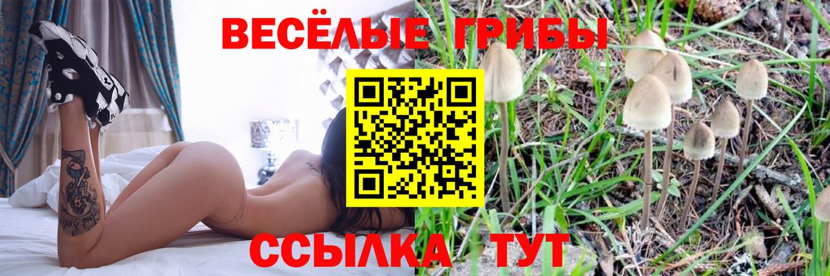 Саров  Галлюциногенные грибы GOLDEN TEACHER  Вход с VPN 